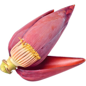 Banana Flower (Boashi)