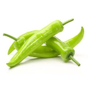 Capsicum