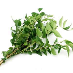 Curry Leaves