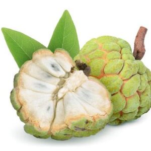 Custard Apple