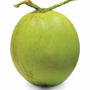 Young Coconut (Kurumba)