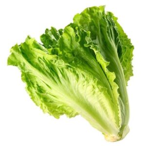 Lettuce