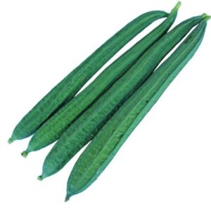 Ridge Gourd (Thoraa)