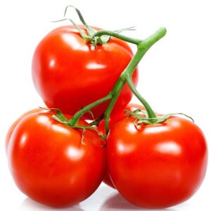 Tomato